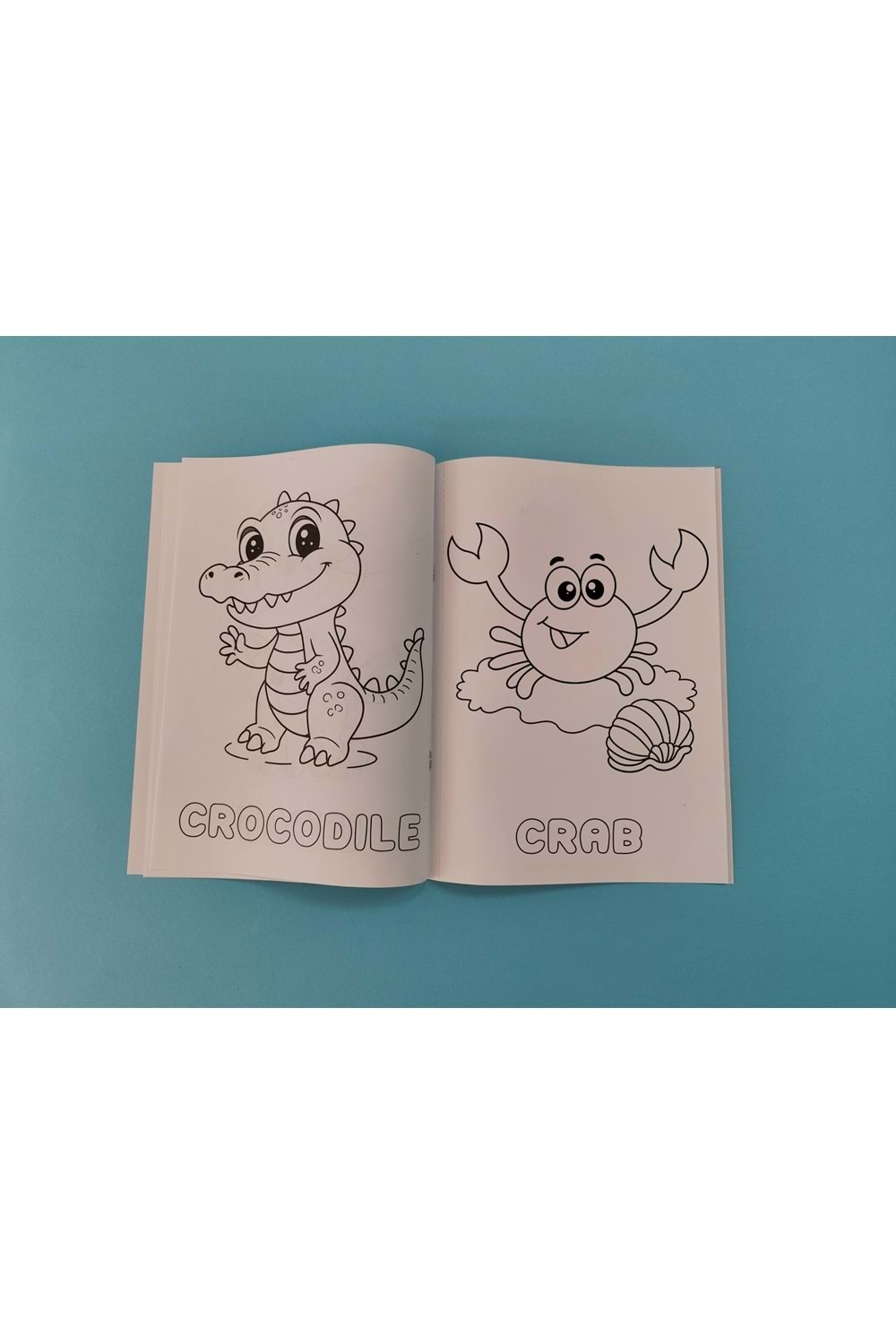 ÇOCUKLAR İÇİN HAYVANLAR BOYAMA KİTABI 1 - İNGİLİZCE İSİMLERLE EĞİTİCİ